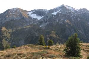 Wanderung Scharnachtal - Engelhorn/Wätterlatte