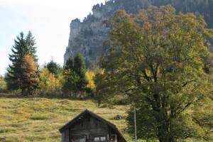 Wanderung Scharnachtal - Engelhorn/Wätterlatte