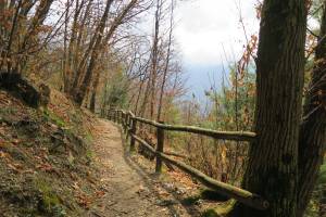 Wanderung Locarno - Contra - Tenero