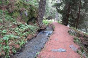 Wanderung Vercorin - Vallon de Réchy - Vernamiège