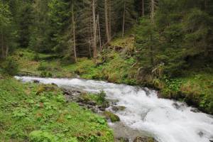 Wanderung Vercorin - Vallon de Réchy - Vernamiège