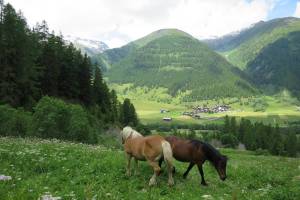 Wanderung UIrichen - Reckingen