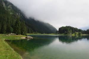 Arnisee