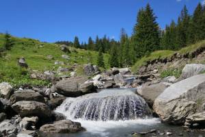 Wanderung Grosse Scheidegg - Rosenlaui - Meiringen