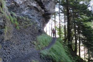 Abstieg von Zwirgi zum Reichenbachfall