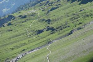 Eigertrail