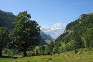 Wanderung Innertkirchen - Schwarzental - Engstlenalp