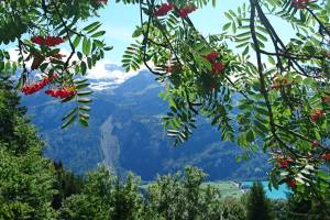 Wanderung Brienz - Lammbachgraben