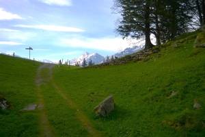 Wanderung Brünigpass - Halgenfluh - Hasliberg/Hohfluh