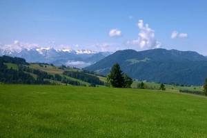 Wanderung Raten - Gubel - Baar