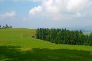 Wanderung Raten - Gubel - Baar