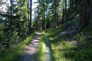 Grächen Suonenwanderung