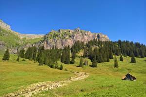 Wanderung Muotathal - Pragelpass - Richisau