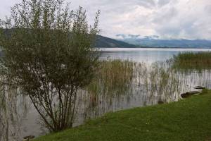 Obersee