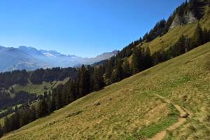 Wanderung Frutigen - Senggi - Niesen