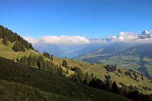 Wanderung Frutigen - Senggi - Niesen