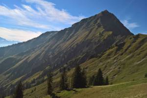 Wanderung Frutigen - Senggi - Niesen