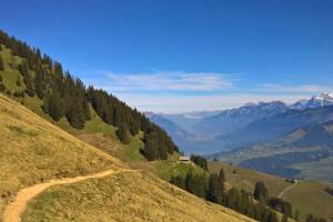 Wanderung Schwandegg - Niesen