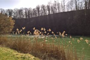 Reuss Wanderung Brugg - Mellingen