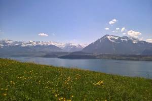 Thunersee Niesen