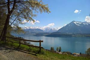 Thunersee Niesen