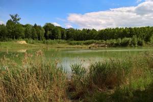 Reuss Wanderung Mellingen - Bremgarten