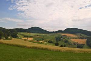 Zwischen Staffelegg und Linn