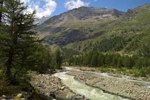 Wanderung Alp Grüm - Lagh da Caralin, Acqua da Palü