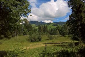 Wanderung Habkern - Luegiboden - Interlaken