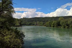 Rhein Wanderung Zurzach - Koblenz - Leibstadt