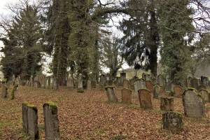 Judenfriedhof bei Endingen