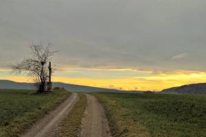 Wanderung Döttingen - Endingen - Freienwil