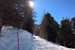 Winterwanderung Zermatt Tufteren