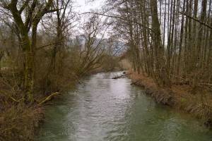 Wanderung Büren a.A. - Aarberg (Alte Aare)