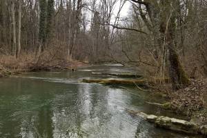 Wanderung Büren a.A. - Aarberg (Alte Aare)