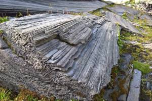 Wanderung Maloja - Lunghin-Pass - Bivio