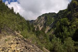 Wanderung Brienz - Lammbachgraben