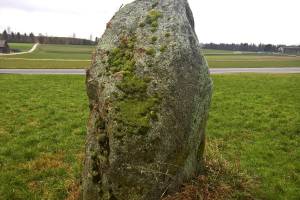 Menhir Attiswil