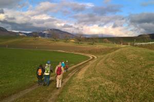 Wanderung Attiswil - Oberbipp - Wangen a.A.