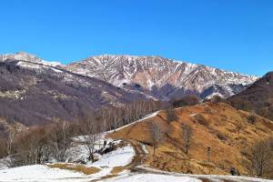 Monte Roveraccio, Fié