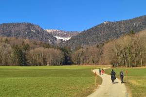 Wanderung Selzach - Altreu