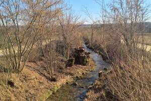 Giglerbach Wanderung Selzach - Altreu