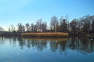 Aare Wanderung Selzach - Altreu