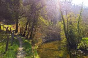 Canal d'Entreroches