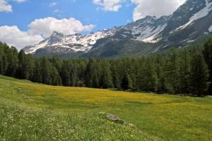 Val da Camp Valposchiavo