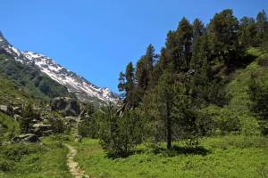 Wanderung Steingletscher - Gadmen