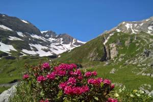 Gältebachtal Lauenen