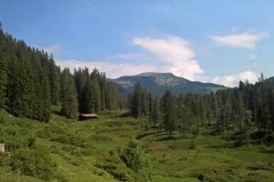 Wanderung Habkern - Grüenebergpass - Eriz