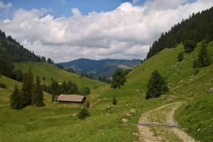 Wanderung Habkern - Grüenebergpass - Eriz