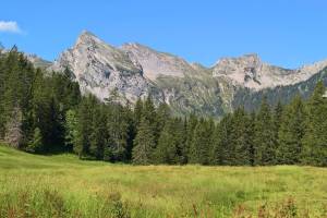 Schmetterlingspfad Lungern